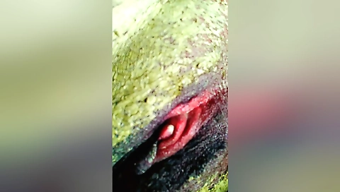 Indian massage with a creampie for a beautiful girl